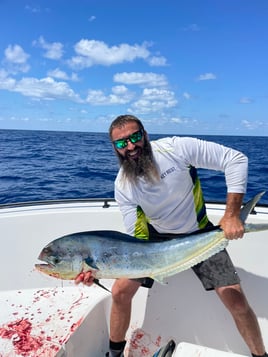 Offshore Bluewater Adventure 