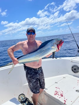 Offshore Bluewater Adventure 