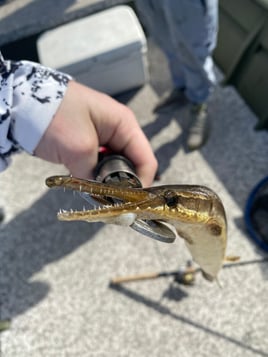 Miami Hook & Boom Trip