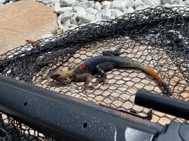 Miami Hook & Boom Trip