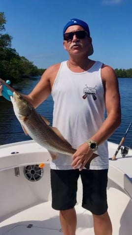 4-8 Hour Trip – Inshore