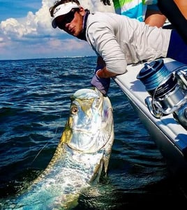 6-8 Hour Trip – Shark/Tarpon