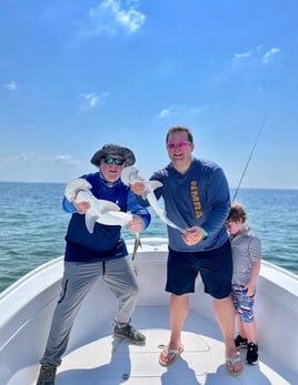 6-8 Hour Trip – Shark/Tarpon