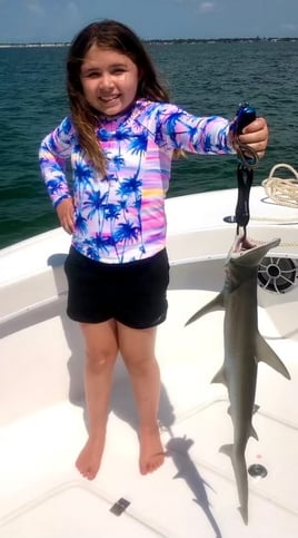 6-8 Hour Trip – Shark/Tarpon