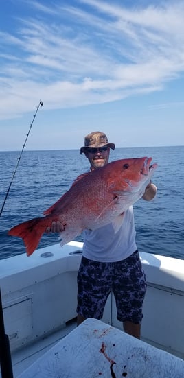 5-6hr trolling or bottom fishing