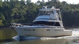 12 Hour Trip - Bottom Fishing