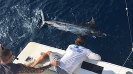 12 Hour - Offshore Trolling