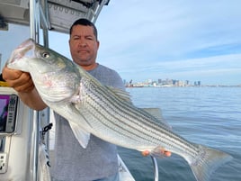 4-6 Hour Trip – Striped Bass