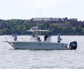 4-6 Hour Trip – Striped Bass