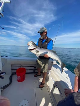 4-6 Hour Trip – Striped Bass