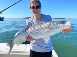 4-6 Hour Trip – Striped Bass