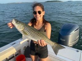 4-6 Hour Trip – Striped Bass