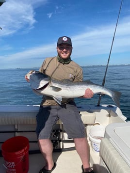 4-6 Hour Trip – Striped Bass