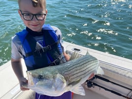 4-6 Hour Trip – Striped Bass