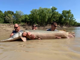 Alligator Gar Fishing in Dallas, Texas