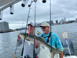 Inshore Striped Bass 