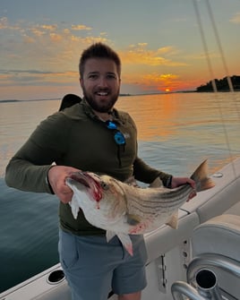 Inshore Striped Bass 