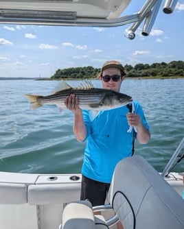 Inshore Striped Bass 