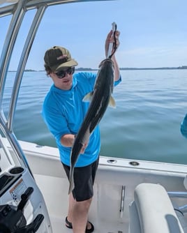 Inshore Striped Bass 