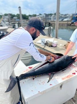 Full Day Giant or Rec Bluefin