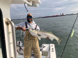 6-8hr Inshore Haddock or Striper