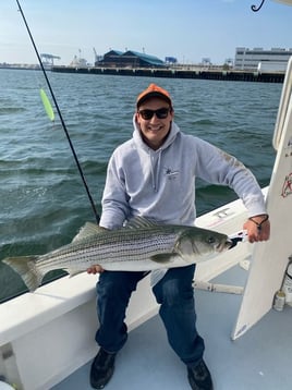 6-8hr Inshore Haddock or Striper