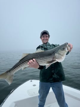 6-8hr Inshore Haddock or Striper