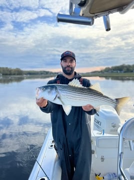 6-8hr Inshore Haddock or Striper