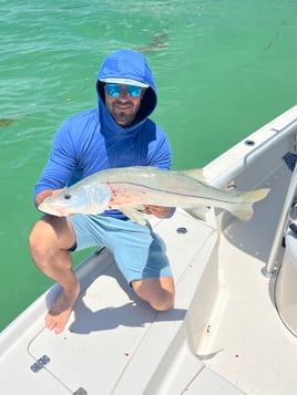 1/2 day (4hrs) inshore/ nearshore 