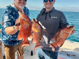 Clearwater Inshore/Nearshore