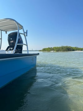 4 hour inshore charter