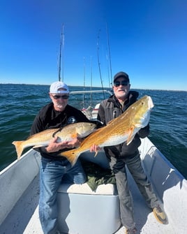 4-6 Hour - Inshore/Nearshore