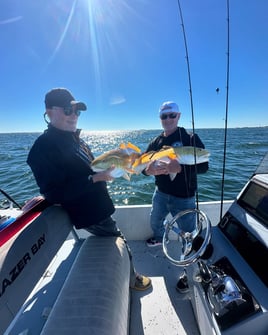 4-6 Hour - Inshore/Nearshore