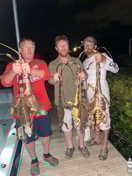Night Iguana Hunt