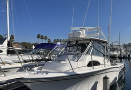 9-12 Hour Trip – Island Charter