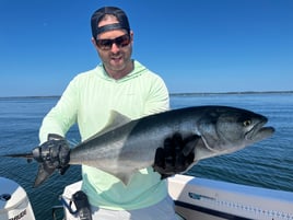 Striper time, Casting for the fish!