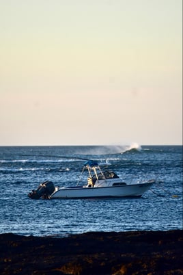 Catch and Cook in Costa Rica