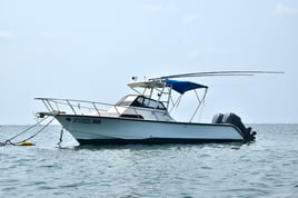 Catch and Cook in Costa Rica