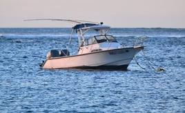 Catch and Cook in Costa Rica