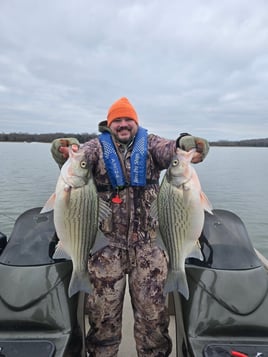 Hybrid striped bass 4hr trip