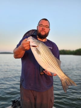 Hybrid striped bass 4hr trip