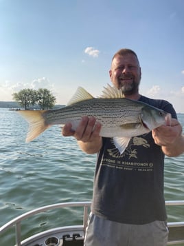 Hybrid striped bass 4hr trip