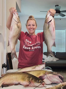 Hybrid striped bass 4hr trip