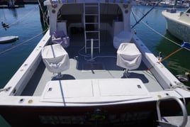 6 Hour Reef & Wreck (PM)