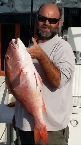 6 Hour Reef & Wreck (PM)