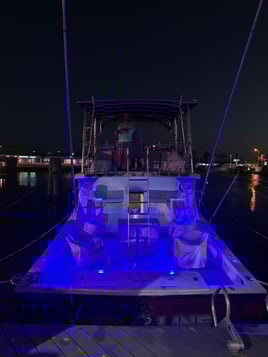 6 Hour Reef & Wreck (PM)