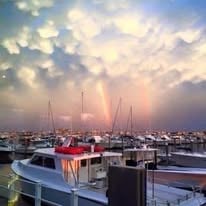 Canyon Tuna /Big Game