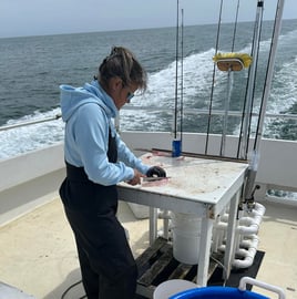 Canyon Tuna /Big Game