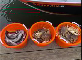 Buoy 10/Columbia River Salmon trips