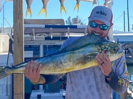 Yellowtail Fishing Trip